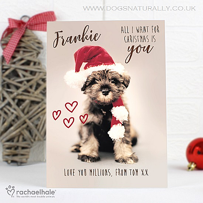 Personalised Puppy Christmas Card